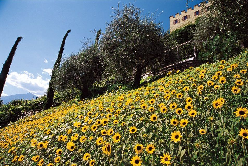 сад, замок Таруттмансдорф, Италия