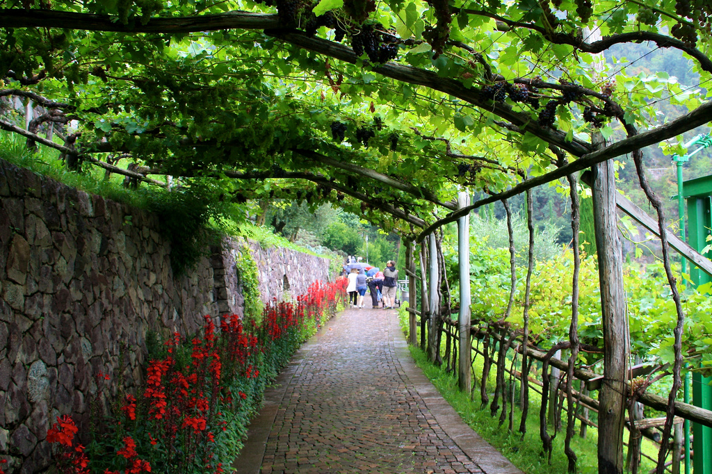 сад, замок Таруттмансдорф, Италия