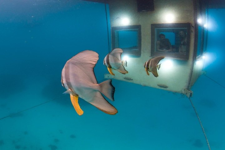 Подводно-надводный отель "Manta Resort" у острова Пемба, Танзания (Восточная Африка)