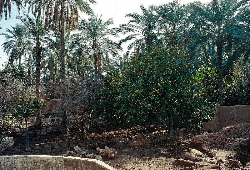 Долина Мзаб (M'zab), север Сахары, Гардая, Алжир