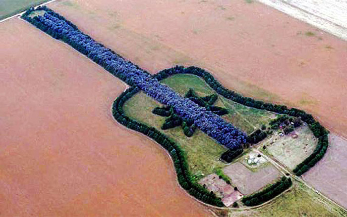 Лес в форме гитары "Лесная гитара" (Forest Guitar), Аргентина