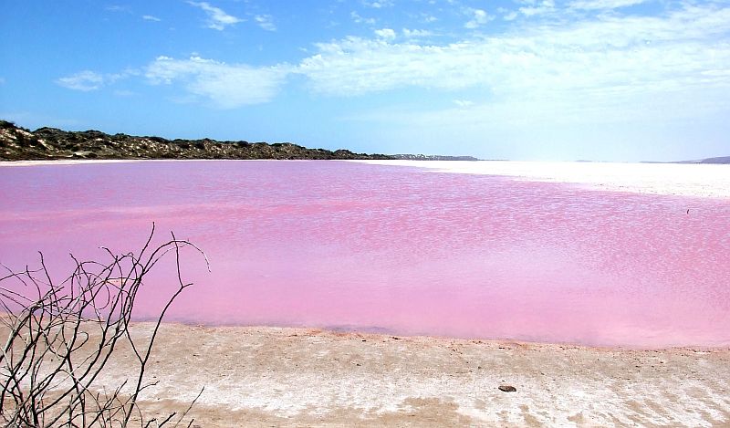 Розовое озеро Хиллер (Hillier), Австралия