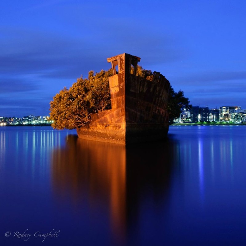 Заброшенное судно SS Ayrfield, корабль, плавающий мангровый лес, Сидней, Австралия