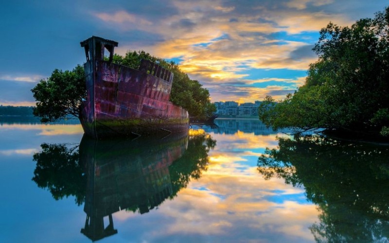 Заброшенное судно SS Ayrfield, корабль, плавающий мангровый лес, Сидней, Австралия