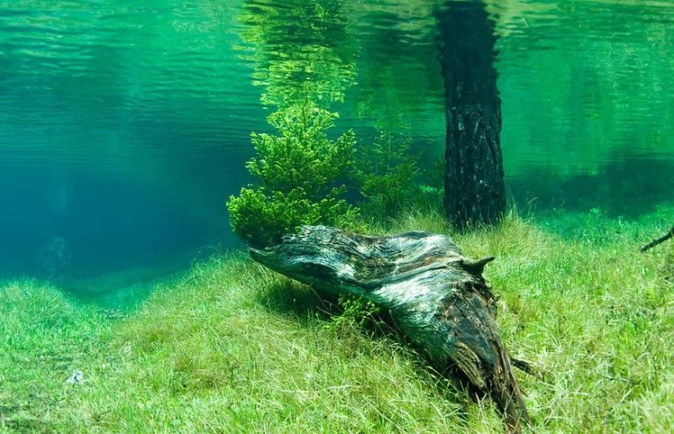 Зелёное озеро (Gruner See), Трагос, Австрия