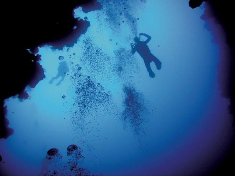 Большая голубая дыра, Великая синяя (Great Blue Hole), Лайтхаус-Риф, Белиз