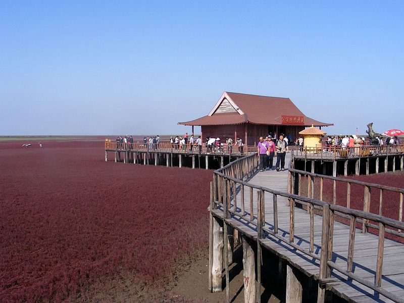 Красный пляж Паньцзинь (Panjin Red Beach), Китай