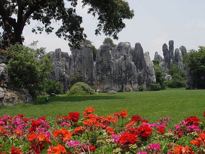 Каменный лес Шилинь (Shilin), Китай