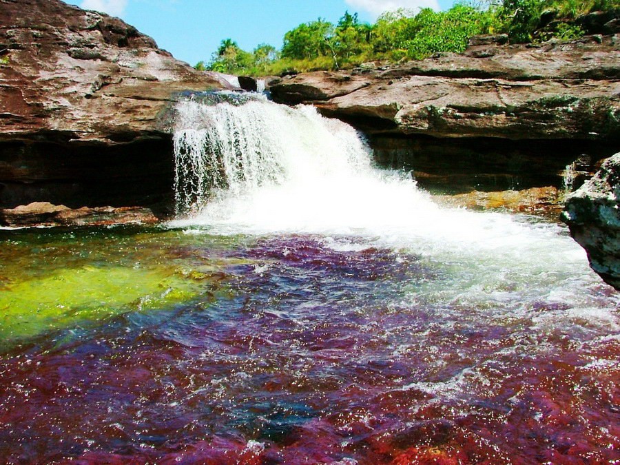 Радужная река Каньо Кристалес (Cano Cristales), Колумбия