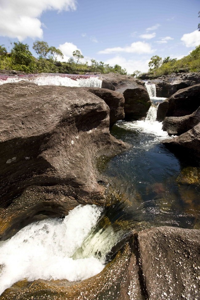 Радужная река Каньо Кристалес (Cano Cristales), Колумбия