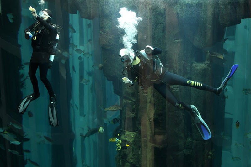 АкваДом (AquaDom),Берлине, самый большой в мире цилиндрический аквариум, CityQuartier DomAquaree, Германия