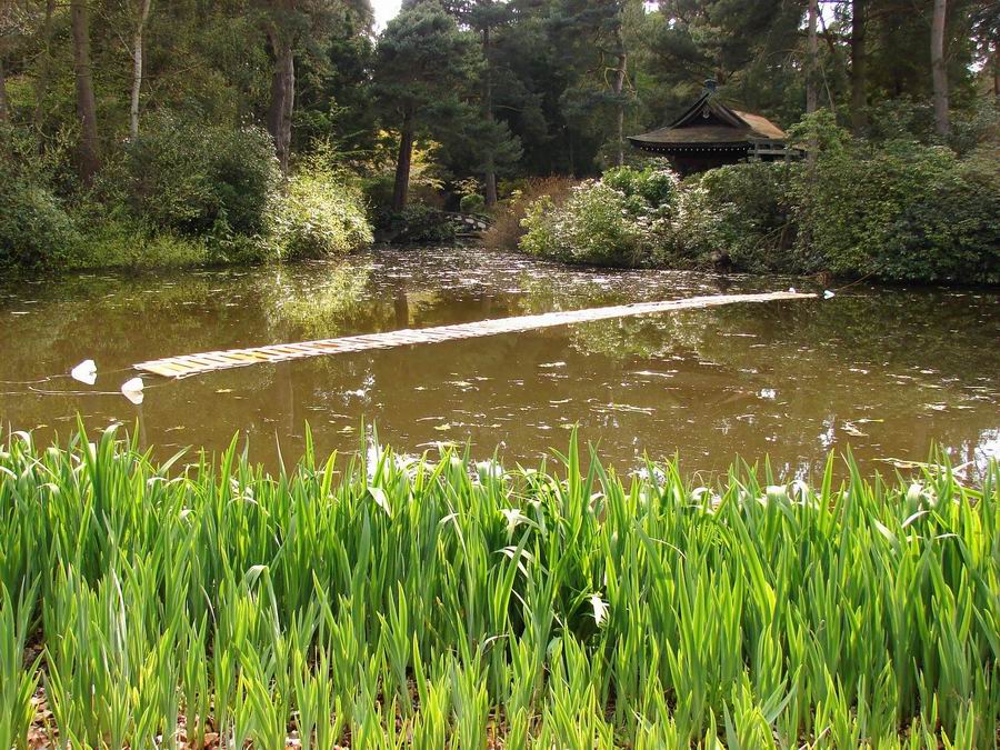 Обезьяний мост (Pont de Singe) Японский сад Таттон-парка, графство Чешир, Великобритания