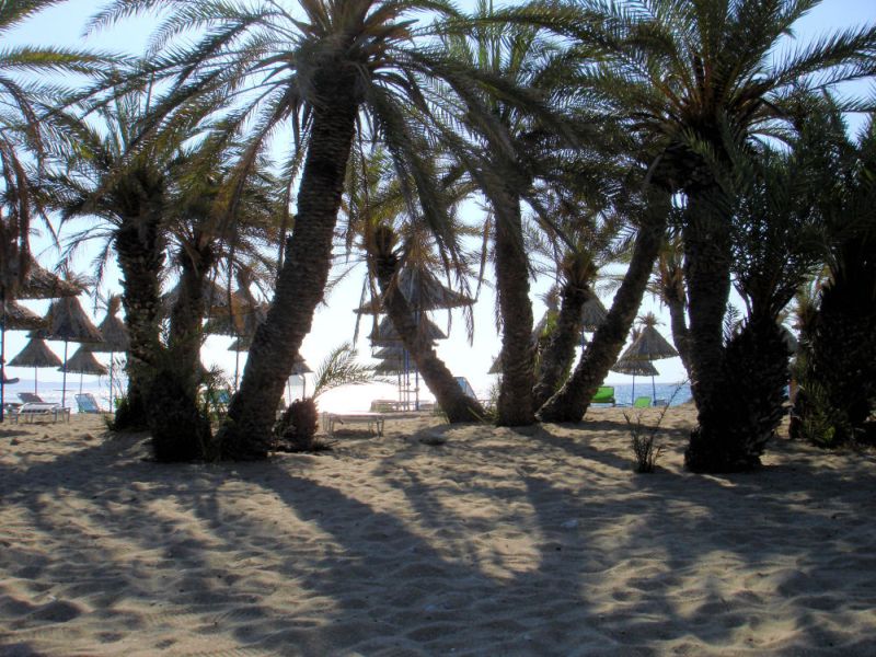 вай пальмовый пляж, о крит, лассити, греция, vai bay