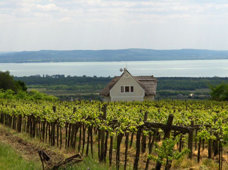 Озеро Балатон, отдых, туризм, курорты, Венгрия