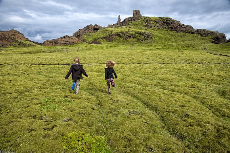 Мох в Исландии, Лавовые поля