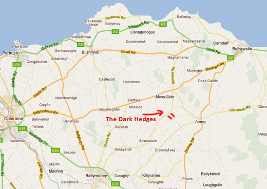 Таинственная аллея «Темная изгородь» (The Dark Hedges) в Ирландии