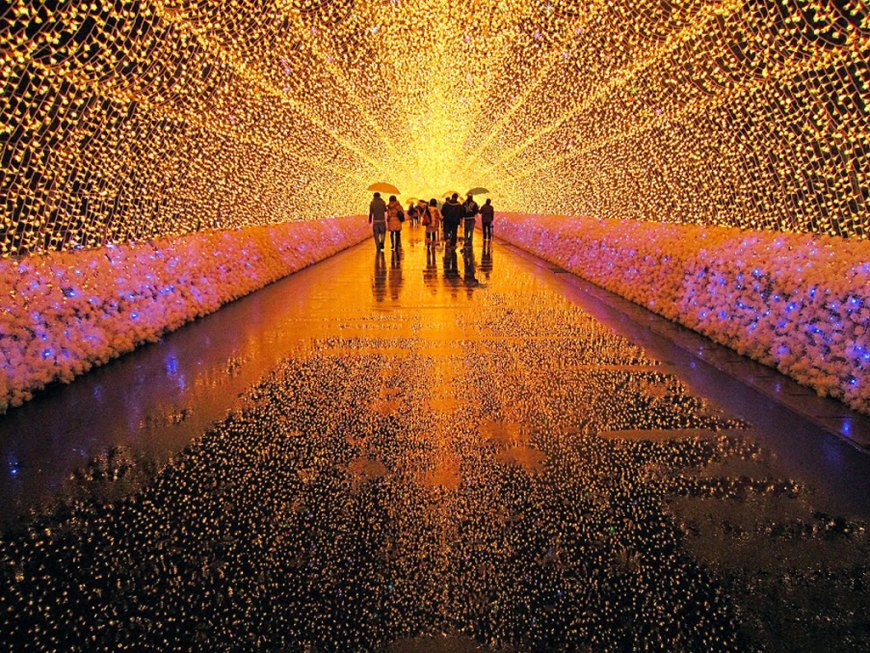 Зимний фестиваль света, Кувана, Ботанический сад Набано Но Сато, Япония