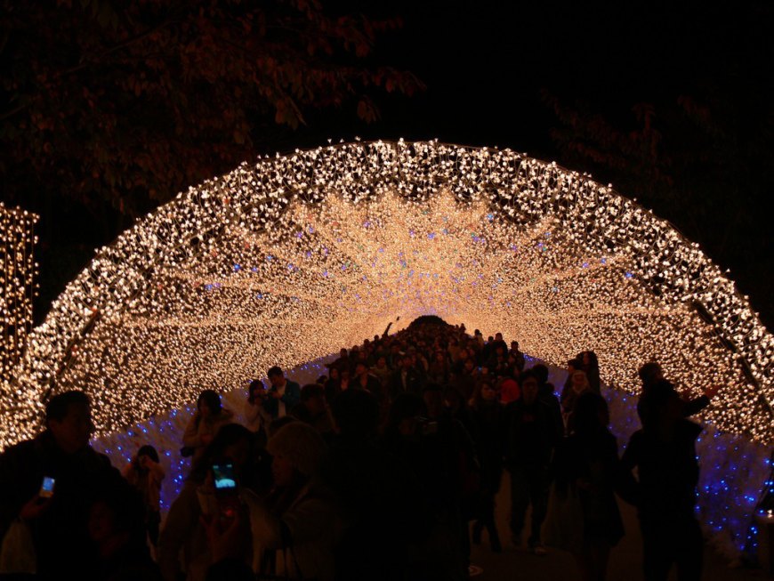 Зимний фестиваль света, Кувана, Ботанический сад Набано Но Сато, Япония