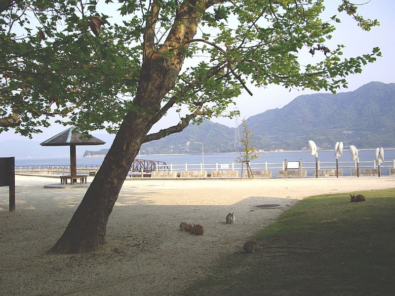 Кроличий остров «Усаги Сима» (Usagi Shima), остров Окуносима, Япония