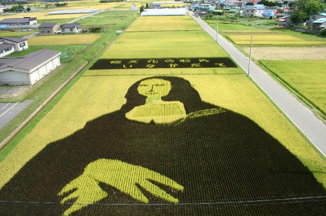 Картины на рисовых полях, Инакадате (Inakadate), Япония