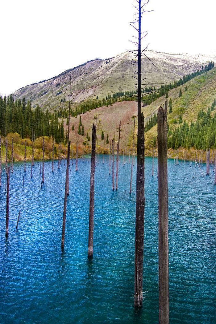 Затопленный лес озера Каинды, Кайнды, (Lake Kaindy), Казахстан
