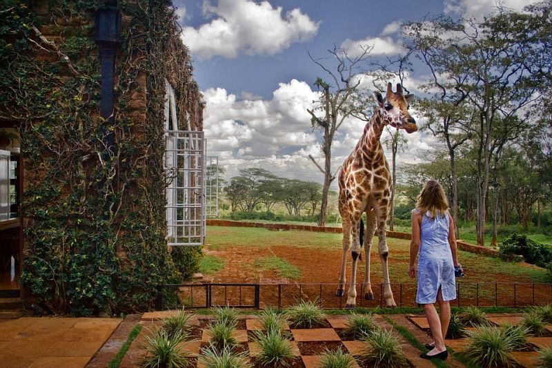 Бутик-отель Giraffe Manor, Найроби, Кения