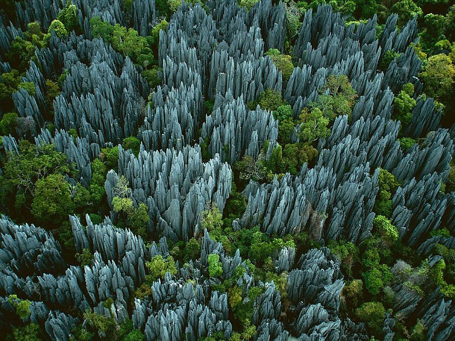 Каменный лес заповедника Цинги-де-Бемараха (Tsingy de Bemaraha), Мадагаскар
