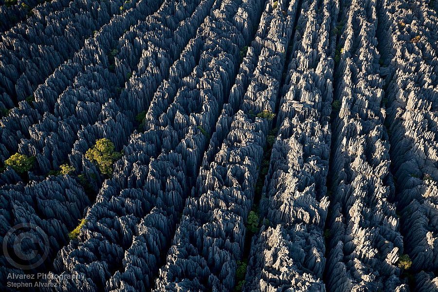 Каменный лес заповедника Цинги-де-Бемараха (Tsingy de Bemaraha), Мадагаскар