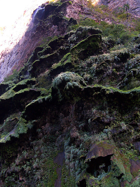 Водопад Рождественское дерево (Arbol de Navidad Cascada), штат Чиапас, Мексика