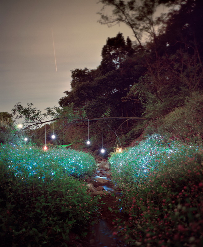 Световая инсталляция «Звездная ночь» от фотографа Ли Юниеол
