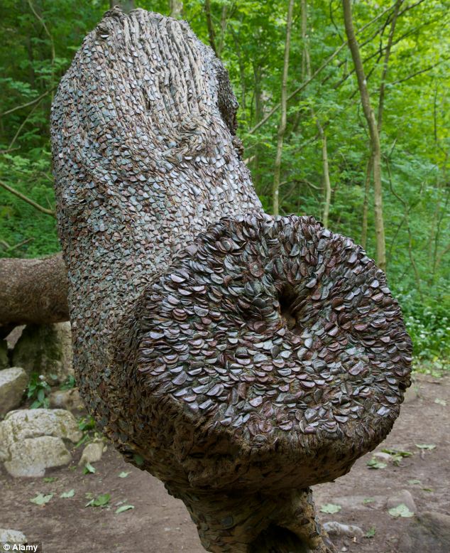 Монетные деревья в лесах Шотландии