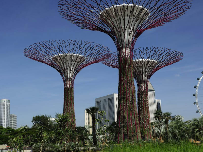 Супердеревья в садах "Gardens By The Bay", Сингапур
