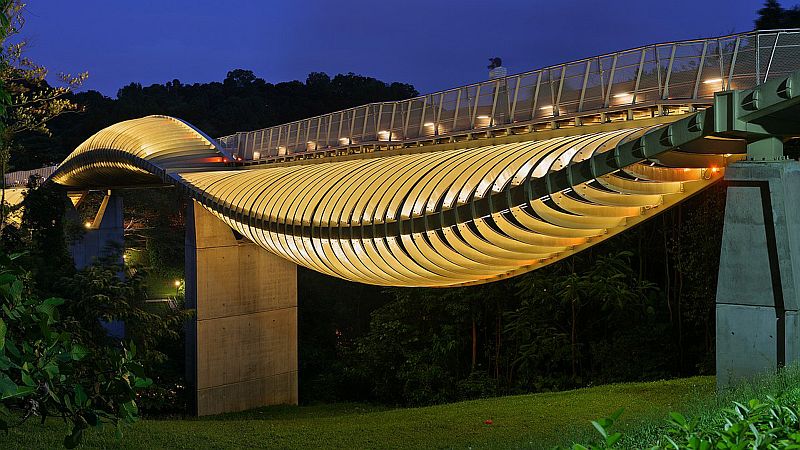 Мост "Волны Хендерсона" (Henderson Waves Bridge), Сингапур