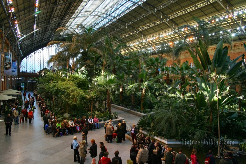 Железнодорожный вокзал Аточа (Estacion de Atocha), Мадрид, тропический сад, Испания