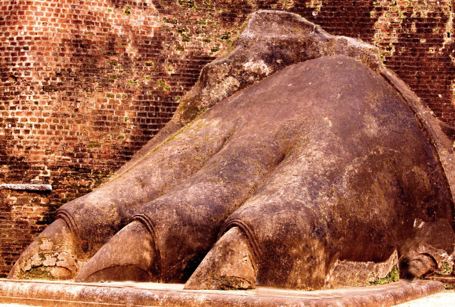 Горный дворец "Львиная скала" (Lions Rock ) в Сигирия, Шри-Ланка