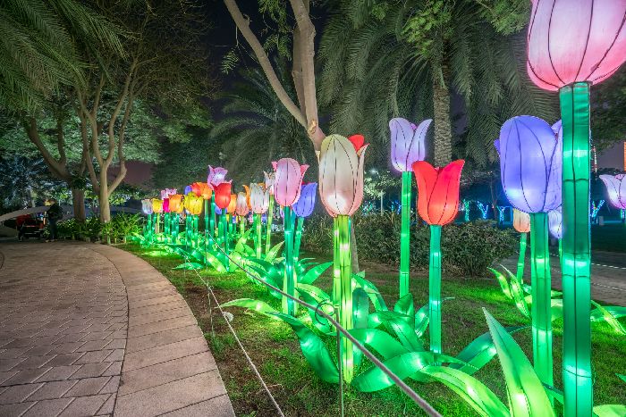 Светящийся сад в Дубаи, Dubai Garden Glow, Дубаи, ОАЭ, сад, парк