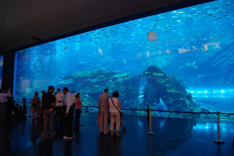 Огромный аквариум - "Dubai Mall Aquarium", Дубай (ОАЭ)
