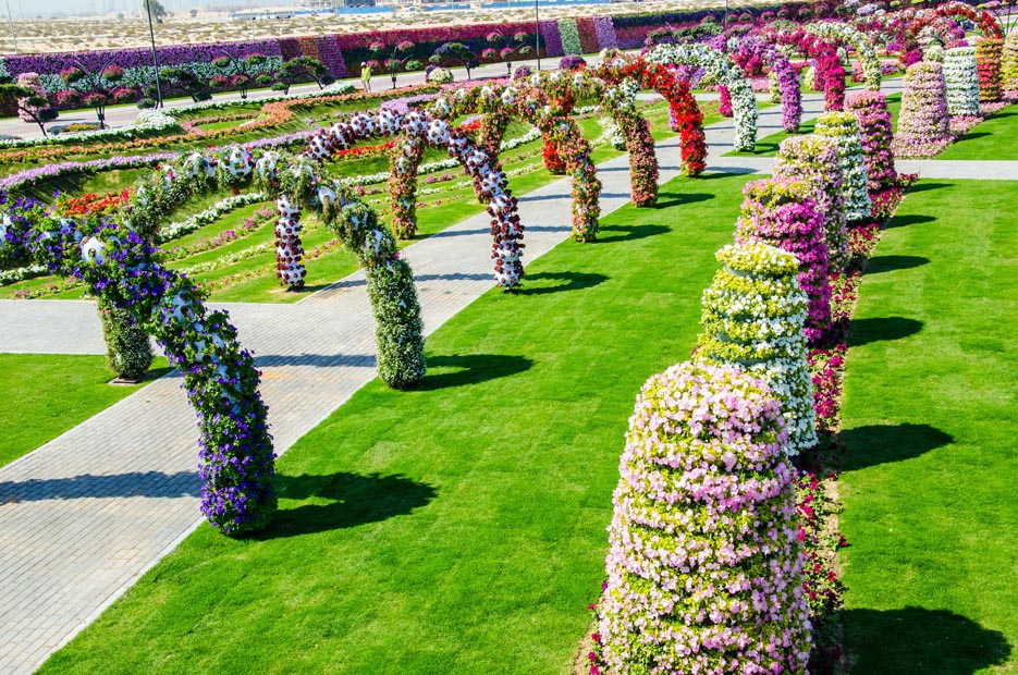Чудо Сад в Дубай, (Dubai Miracle Garden), парк, ОАЭ