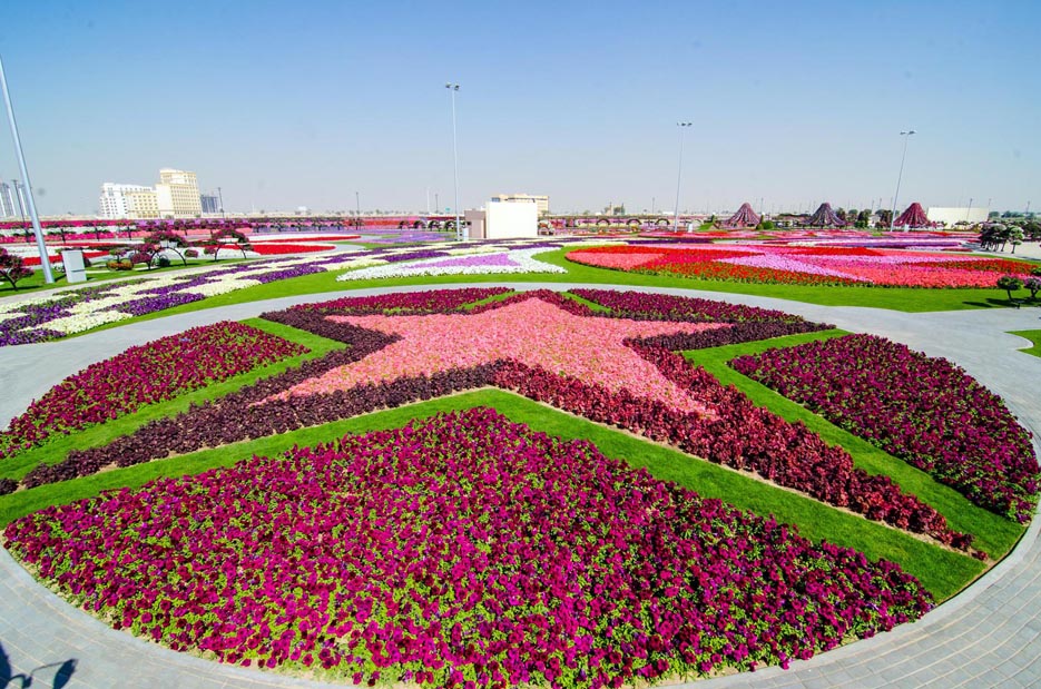 Чудо Сад в Дубай, (Dubai Miracle Garden), парк, ОАЭ
