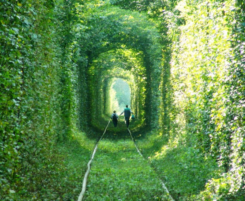 Тоннель любви (Tunnel of Love) Клевань, Ровенская область, Украина
