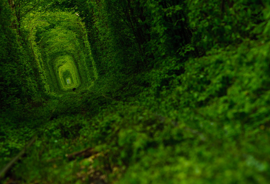 Тоннель любви (Tunnel of Love) Клевань, Ровенская область, Украина