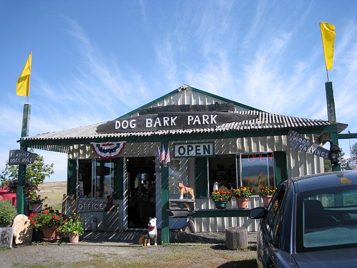 Гостиница внутри собаки Dog Bark Park Inn, Коттонвуд (штат Айдахо), США