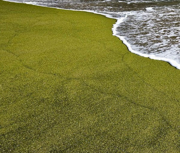Зеленый песок пляжа Papakolea Beach, Большой остров, Гавайи (США)
