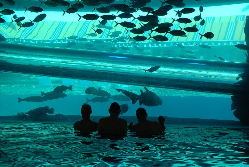 Отель "Золотой самородок" (Golden Nugget Hotel) с водной горкой в аквариуме с акулами, Лас-Вегас, США
