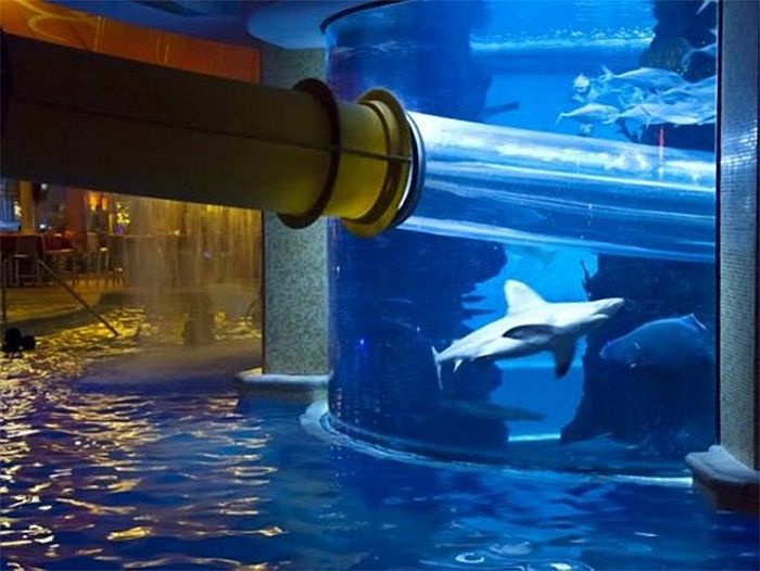 Отель "Золотой самородок" (Golden Nugget Hotel) с водной горкой в аквариуме с акулами, Лас-Вегас, США