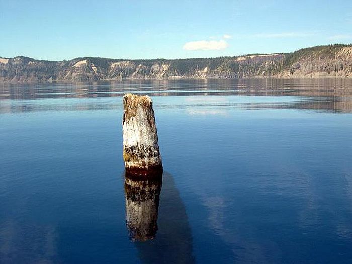 «Озерный старик» на озере "Крейтер" (Crater Lake), штат Орегон, США