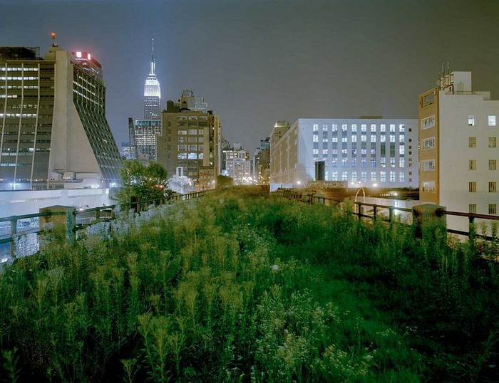 Хай-Лайн (The High Line)высокая линия, парк в Манхэттене, Нью-Йорк, США
