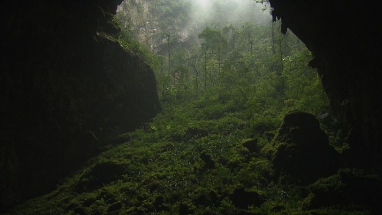Пещера Шондонг (Hang Son Doong) - самая большая и красивая пещера в мире, Вьетнам