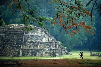 Гондурас: Важные археологические открытия надеются сделать в ближайшее время ученые, проводящие иссл