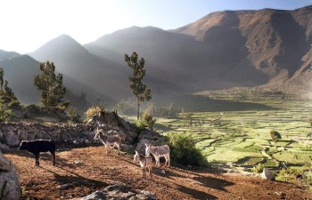 В Перу будет осуществляться возврат НДС туристам